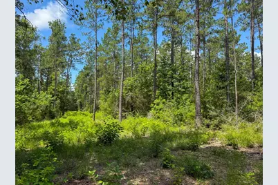 Xxx County Road 1450, Warren, TX 77664 - Photo 37