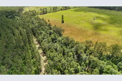 Xxx County Road 1450, Warren, TX 77664 - Photo 25