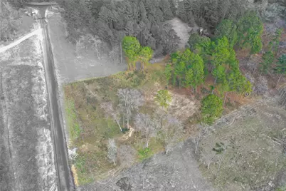 000 Tr 18 County Road 147, Centerville, TX 75833 - Photo 7