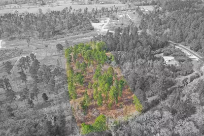 000 Tr 18 County Road 147, Centerville, TX 75833 - Photo 17