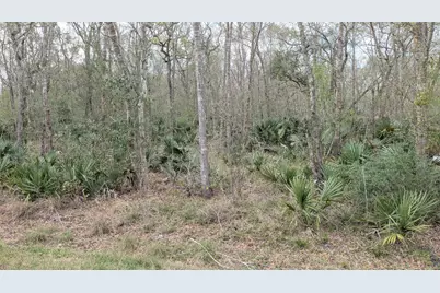 19910 County Road 684A, Sweeny, TX 77480 - Photo 3