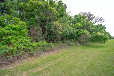 1015 W Point Drive, Rosharon, TX 77583 - Photo 3