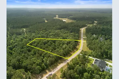 10751 Ruger Road, Willis, TX 77378 - Photo 13
