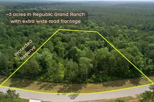 10751 Ruger Rd, Willis, TX 77378 - Photo 1