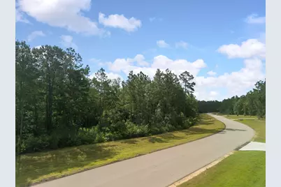10751 Ruger Road, Willis, TX 77378 - Photo 9