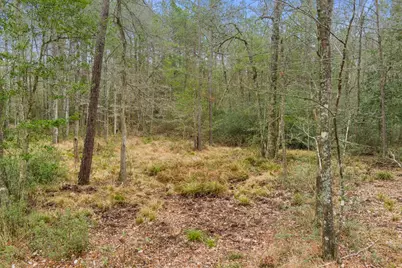 10751 Ruger Road, Willis, TX 77378 - Photo 7