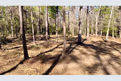 10751 Ruger Road, Willis, TX 77378 - Photo 9