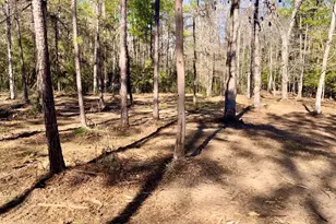 10751 Ruger Rd, Willis, TX 77378 - Photo 9