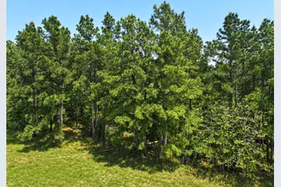 0 Lost Creek Road, Lovelady, TX 75851 - Photo 5