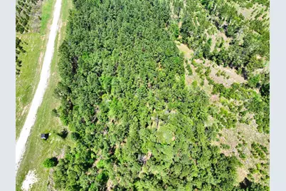 0 Lost Creek Road, Lovelady, TX 75851 - Photo 13