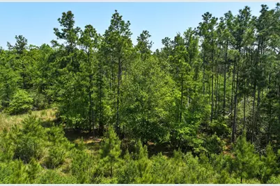 0 Lost Creek Road, Lovelady, TX 75851 - Photo 9