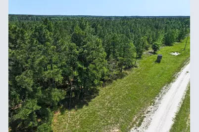 0 Lost Creek Road, Lovelady, TX 75851 - Photo 15