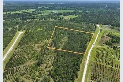 0 Lost Creek Road, Lovelady, TX 75851 - Photo 7