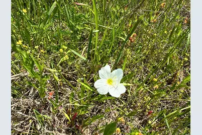 0 Lost Creek Road, Lovelady, TX 75851 - Photo 19