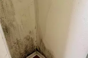 13527 Castilian Dr, Houston, TX 77015 - Photo 15