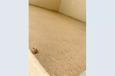 610 Elk Drive, Crosby, TX 77532 - Photo 9