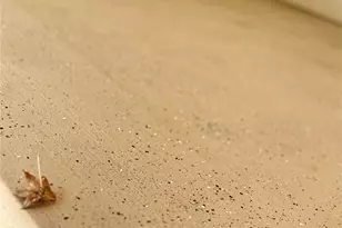 610 Elk Dr, Crosby, TX 77532 - Photo 9