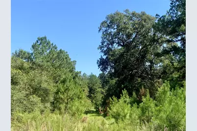 000 County Road 137, Bedias, TX 77831 - Photo 21