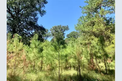 000 County Road 137, Bedias, TX 77831 - Photo 23