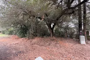 13524 Fm 2432 Rd, Willis, TX 77378 - Photo 1