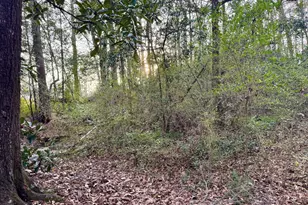 370 Johnson St, Woodville, TX 75979 - Photo 11