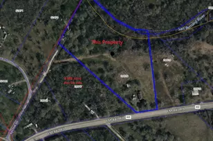 12215 Fm 442 Rd, Boling, TX 77420 - Photo 17