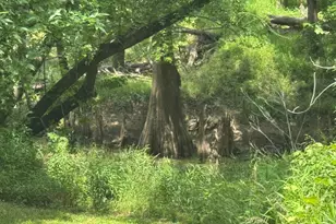 12215 Fm 442 Rd, Boling, TX 77420 - Photo 19