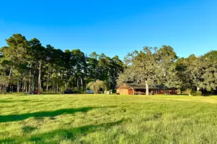 27687 T-2 Hoke Rd, Richards, TX 77873 - Photo 21