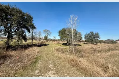 9100 Delesandri Drive, Hitchcock, TX 77563 - Photo 13