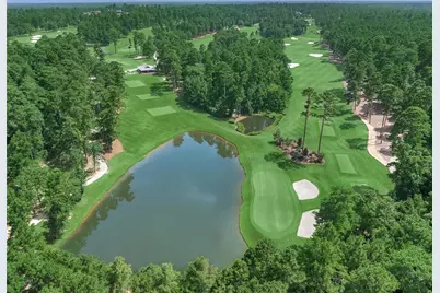 4477 Lily Bean Road, Montgomery, TX 77316 - Photo 3