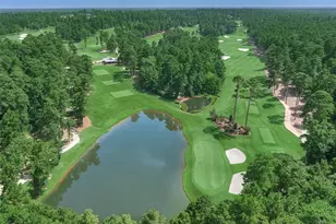 4477 Lily Bean Rd, Montgomery, TX 77316 - Photo 17