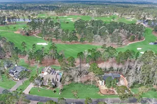 4477 Lily Bean Rd, Montgomery, TX 77316 - Photo 1