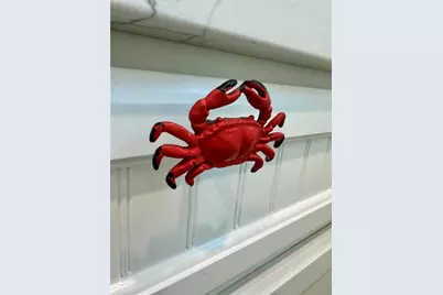 4822 Palm Street, Surfside Beach, TX 77541 - Photo 19