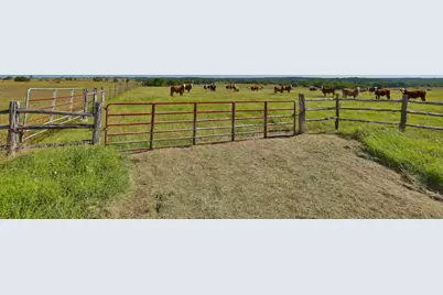 Tract #7 Cr 305 Road, Navasota, TX 77868 - Photo 5