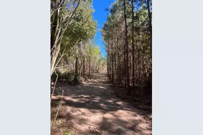 Tract 5-C Fm 161 N, Hughes Springs, TX 75656 - Photo 5