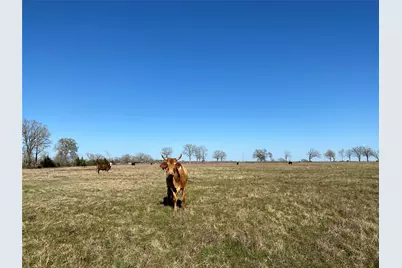 13.5 Acres Hwy 30, Bedias, TX 77831 - Photo 19
