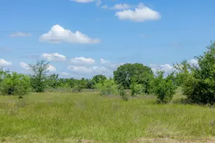 6507 Atakapan Trl, Bedias, TX 77831 - Photo 1