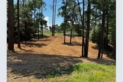Tbd Valleyview Drive, Onalaska, TX 77360 - Photo 3