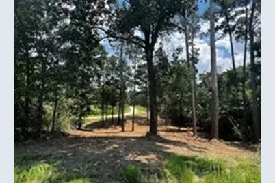 Tbd Valleyview Drive, Onalaska, TX 77360 - Photo 5