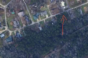 Lots 19 and 20 Bluebonnet, Livingston, TX 77351 - Photo 1