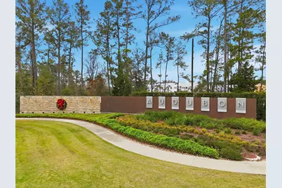 15013 Baikal Teal Terrace, Magnolia, TX 77354 - Photo 3