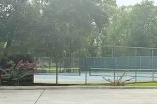 2615 Piemonte Ave Circle, Spring City, TX 77388 - Photo 19