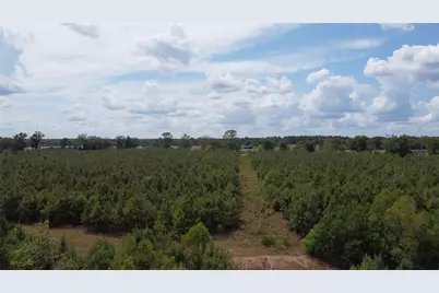 2 Tbd County Road 295, Garrison, TX 75946 - Photo 15