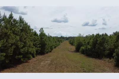 2 Tbd County Road 295, Garrison, TX 75946 - Photo 5