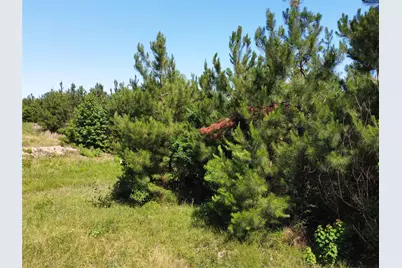 2 Tbd County Road 295, Garrison, TX 75946 - Photo 7