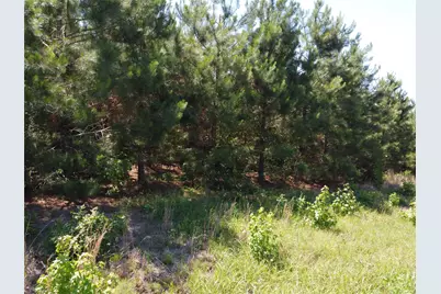 2 Tbd County Road 295, Garrison, TX 75946 - Photo 3