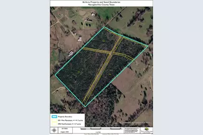 2 Tbd County Road 295, Garrison, TX 75946 - Photo 5