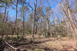 Tbd Fm 156, Coldspring, TX 77331 - Photo 1