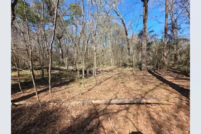 Tbd Fm 156, Coldspring, TX 77331 - Photo 5