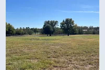 10250 Jenny Lynn Lane, Chappell Hill, TX 77426 - Photo 7
